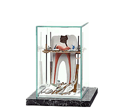 Vitrína Staveniště zubu s nervem